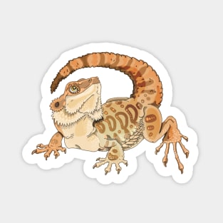 Bearded Dragon Sticker Sticker